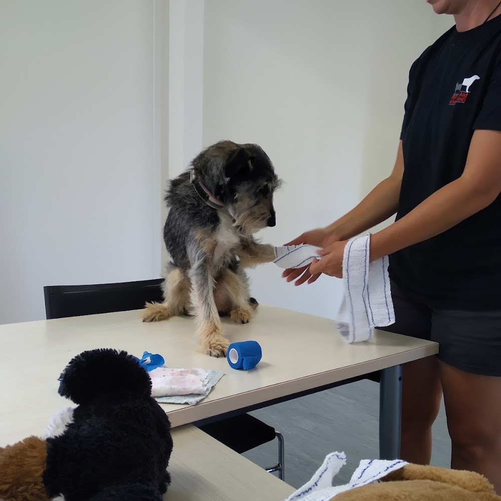 Auckland Council Henderson Animal Shelter