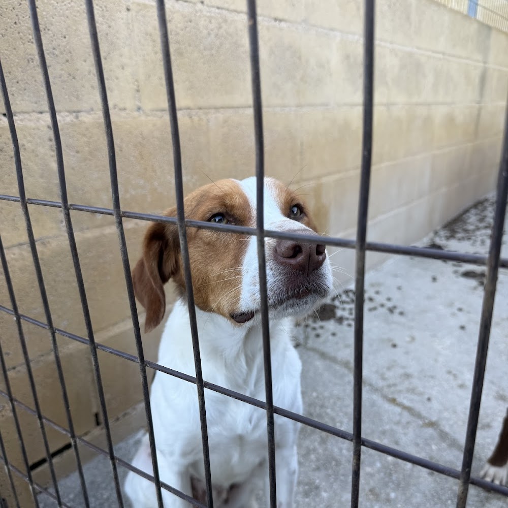 Sociedad Protectora de Animales y Plantas de Málaga