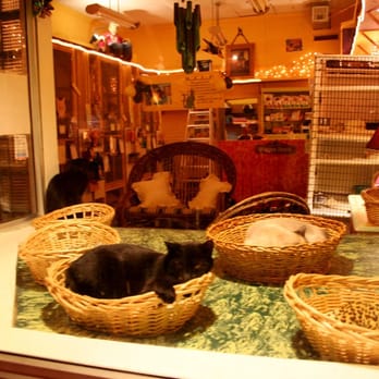 The House of Mews