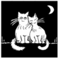 Stichting Zwerfkatten Rijnmond