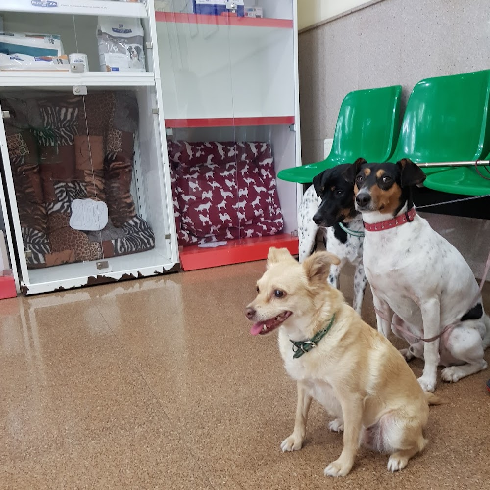 Sociedad Protectora de Animales y Plantas de Sevilla