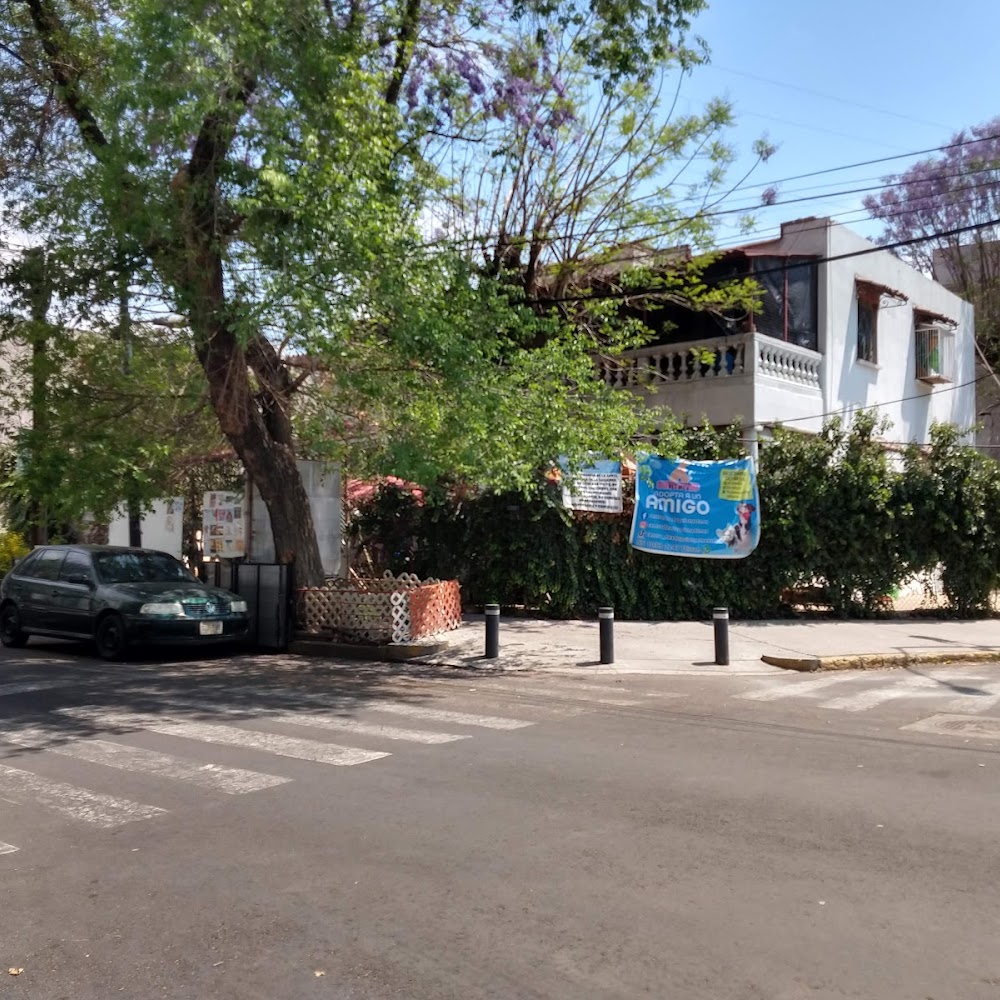 Centro de Adopción Pet Mex