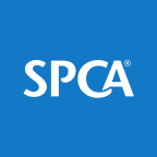 SPCA Tauranga Centre