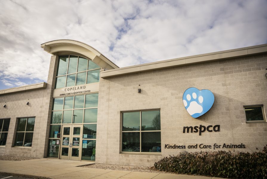 MSPCA Animal Care and Adoption Center
