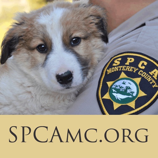 BC SPCA Vancouver